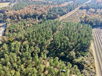 TBD Binnicker Bridge Rd, Bamberg, SC 29003 - photo 4