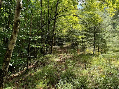 1.3 Farr Rd unit 3, Ohio, NY 13324 - photo 5