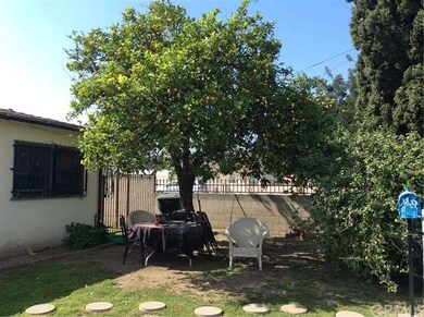 Front yard with beautiful lemon tree in full bloom