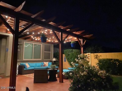 Back Patio