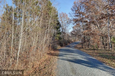 1539 101st Ave, Garfield Township, WI 54001 - photo 2