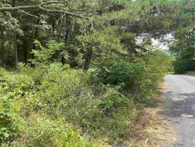 350 Forest Rd, Luray, VA 22835 - photo 5