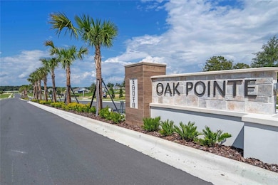 3384 Wye Oak Dr, Apopka, FL 32703 - photo 2