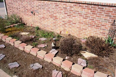 Pretty flowers and shrubs coming to bloom.