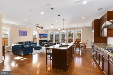 25069 Green Mountain Terrace, Aldie, VA 20105 - photo 3