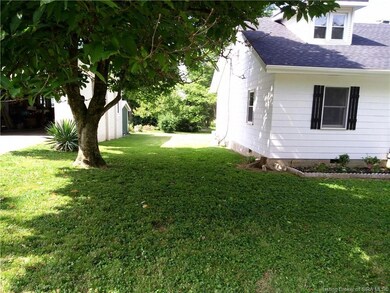 This tree is side yard boundary