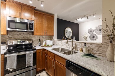 1691 Buttonwood Cir unit 2713, Schaumburg, IL 60173 - photo 5