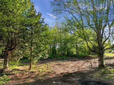 300th 185th St NW, Stanwood, WA 98292 - photo 4