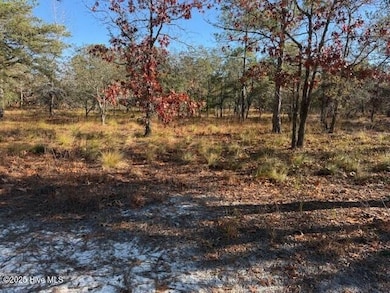 495 Antilla Dr SE, Bolivia, NC 28422 - photo 6