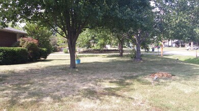 Front yard