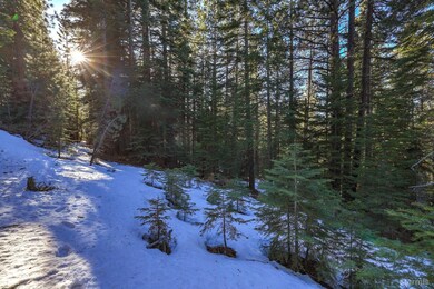 1346 Thunderbird Dr, South Lake Tahoe, CA 96150 - photo 2
