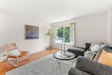 Main level living room.