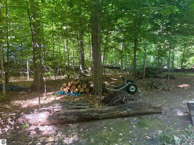 0 Horn Beam Ct, Cedar, MI 49621 - photo 7
