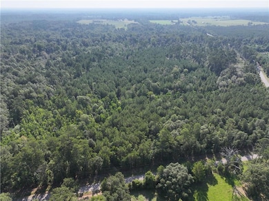 0 Louisiana 1045, Amite, LA 70422 - photo 2