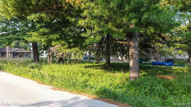 00 Liddle St, Brownstown Charter Township, MI 48183 - photo 6