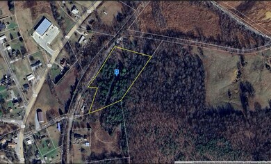 Pine St, Dunmor, KY 42339 - photo 6