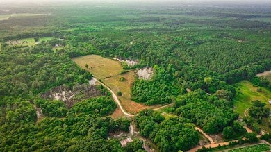 0 Alred Rd unit LotWP001 24166422, Westville, FL 32464 - photo 2