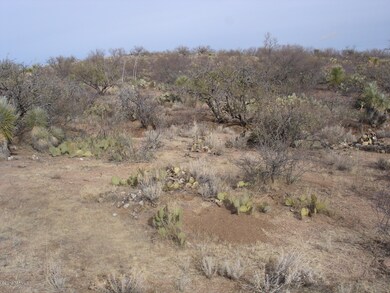 Desert Growth