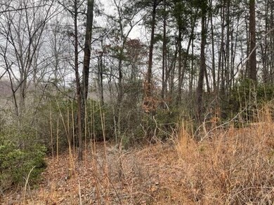 00 Sanderling Ct unit 325, Lake Lure, NC 28746 - photo 3