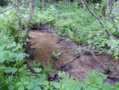Creek