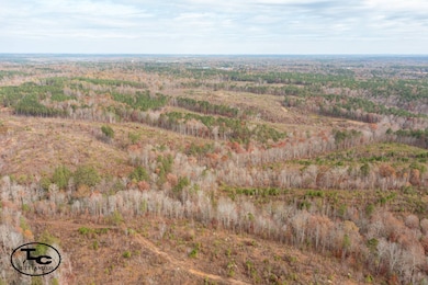 0 Steele Rd, Jasper, AL 35503 - photo 3