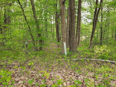 Deer Lake Estates Lot 66