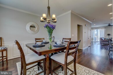 13241 Tivoli Lake Blvd, Silver Spring, MD 20906 - photo 5