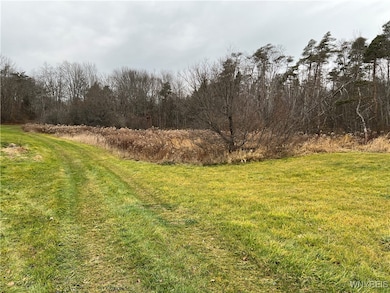 0 Feathers Creek Rd unit B1651106, Belmont, NY 14813 - photo 7