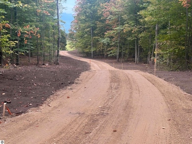 11605 S Tower Rd unit 5, Kasson Township, MI 49664 - photo 6