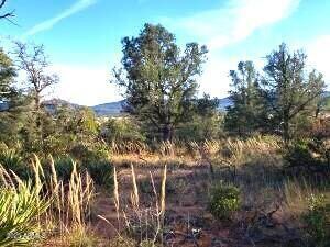 Prcl 4 Hilltop