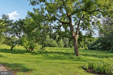 738 S Roberts Rd, Bryn Mawr, PA 19010 - photo 7