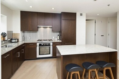 Millenium Place unit 703, Boston, MA 02111 - photo 7