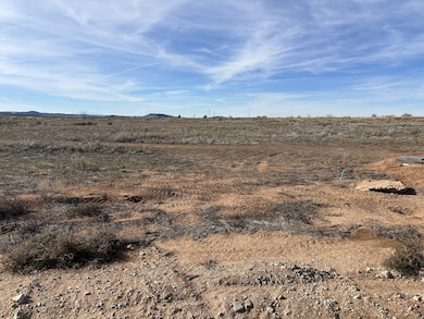 247 N Bobbie Ln unit 61, La Sal, UT 84530 - photo 5