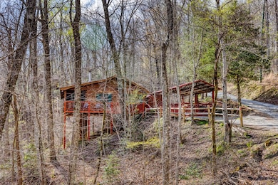 688 Little Bushy Head Rd, Blue Ridge, GA 30513 - photo 3