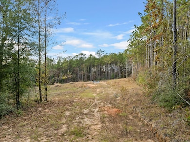 143 Luther Saucier Rd, Lumberton, MS 39455 - photo 3