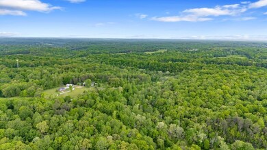 7449 Crow Cut Rd, Fairview, TN 37062 - photo 7