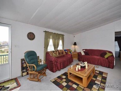 46 Noland Hills Dr, Leicester, NC 28748 - photo 7