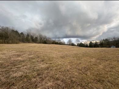 502 Rogues Fork Rd, Westmoreland, TN 37022 - photo 3