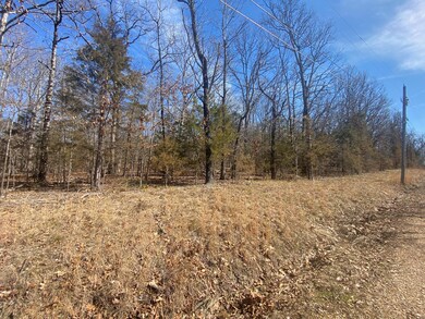 Lot 4 Montego Dr, Ruth B Rural Township, MO 65686 - photo 3