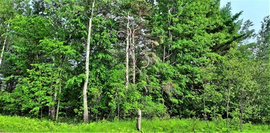 3838 Creamery Woods