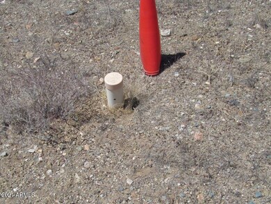 Mayer Lot Septic Tank Site