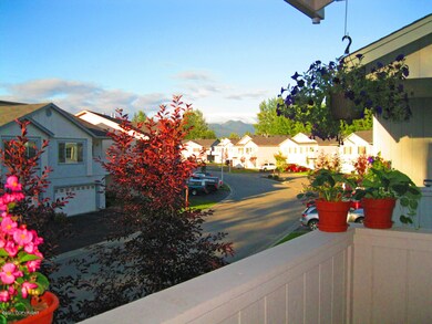 Mountain Views