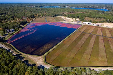 165 Mayflower Terrace, South Yarmouth, MA 02664 - photo 5