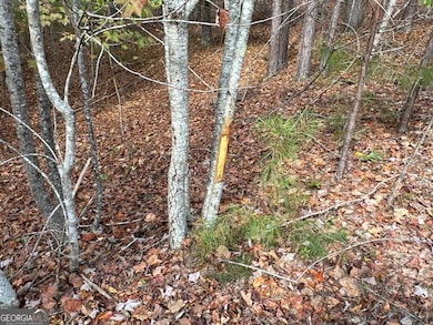 1806 Browning Rd, Rockmart, GA 30153 - photo 4