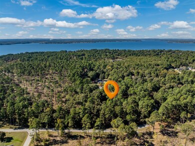 Lot 5 Pintail Dr, Flint, TX 75762 - photo 3