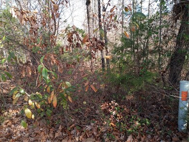 Lot#15 Fountainhall Ln, Bella Vista, AR 72715 - photo 3