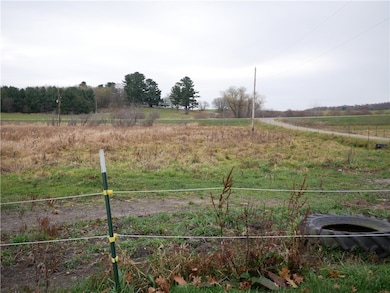 82 12th St, Ridgeland, WI 54763 - photo 5