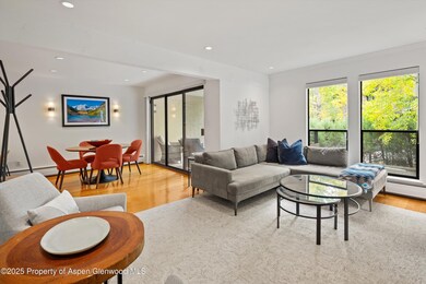 980 E Hyman Ave unit 3, Aspen, CO 81611 - photo 5