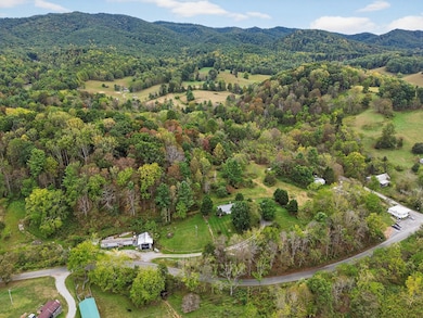 36016 Widener Valley Rd, Glade Spring, VA 24340 - photo 7