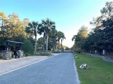 0 NW 145th Ave Lot 25, Williston, FL 32696 - photo 3